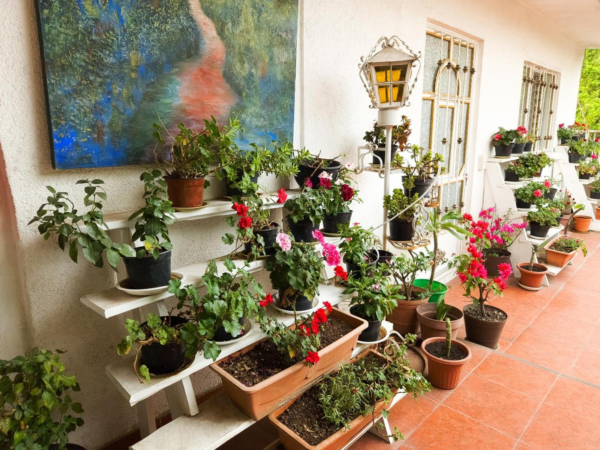 Habitación en casa particular Esquina Del Pintor *